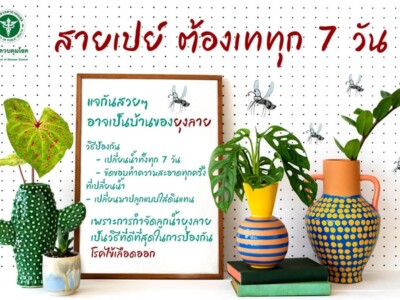 Read more about the article ทำไม ฝนหยุด แล้ว !!   ยังพบการเกิดโรคไข้เลือดออกในบางพื้นที่  . ถาดรองตู้กดน้ำดื่ม แจกันหิ้งพระ แจกันดอกไม้ต่างๆ ถาดรองน้ำกระถางต้นไม้ ต้นไม้ที่มีลักษณะขังน้ำ หรือภาชนะที่ไม่มีฝาปิด เพราะอาจเป็นแหล่งวางไข่ลูกน้ำยุงลายได้  . อย่าลืม เทน้ำคว่ำภาชนะรองน้ำ ขัดล้างคราบไข่ยุงลาย  . การกำจัด ยุงลาย ทีดีที่สุด คือกำจัดแหล่งเพาะพันธุ์ลูกน้ำยุงลายในภาชนะทั้งหมด  🦟🦟🦟🦟  (beacon light)(beacon light)(beacon light)(beacon light)(beacon light)(beacon light) หากป่วย มีไข้ ไม่ไอ  ไม่มีน้ำมูก  “ให้สงสัยโรคไข้เลือดออก” ด้วยความปรารถนาดีจาก… องค์การบริหารส่วนตำบลเวียงแก้ว   #สังคมพรหมวิหาร #ผู้คนสุขภาพดี #ทุกภาคีมีส่วนร่วม #ศูนย์รวมภูมิปัญญา . สามารถดาวน์โหลด สื่อต้นแบบโรคติดต่อนำโดยยุงลาย (double arrow down)(double arrow down)(double arrow down) https://drive.google.com/…/1kw6yPqQC…