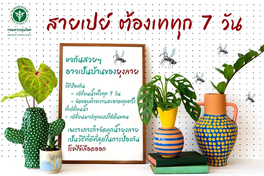 Read more about the article ทำไม ฝนหยุด แล้ว !!   ยังพบการเกิดโรคไข้เลือดออกในบางพื้นที่  . ถาดรองตู้กดน้ำดื่ม แจกันหิ้งพระ แจกันดอกไม้ต่างๆ ถาดรองน้ำกระถางต้นไม้ ต้นไม้ที่มีลักษณะขังน้ำ หรือภาชนะที่ไม่มีฝาปิด เพราะอาจเป็นแหล่งวางไข่ลูกน้ำยุงลายได้  . อย่าลืม เทน้ำคว่ำภาชนะรองน้ำ ขัดล้างคราบไข่ยุงลาย  . การกำจัด ยุงลาย ทีดีที่สุด คือกำจัดแหล่งเพาะพันธุ์ลูกน้ำยุงลายในภาชนะทั้งหมด  🦟🦟🦟🦟  (beacon light)(beacon light)(beacon light)(beacon light)(beacon light)(beacon light) หากป่วย มีไข้ ไม่ไอ  ไม่มีน้ำมูก  “ให้สงสัยโรคไข้เลือดออก” ด้วยความปรารถนาดีจาก… องค์การบริหารส่วนตำบลเวียงแก้ว   #สังคมพรหมวิหาร #ผู้คนสุขภาพดี #ทุกภาคีมีส่วนร่วม #ศูนย์รวมภูมิปัญญา . สามารถดาวน์โหลด สื่อต้นแบบโรคติดต่อนำโดยยุงลาย (double arrow down)(double arrow down)(double arrow down) https://drive.google.com/…/1kw6yPqQC…